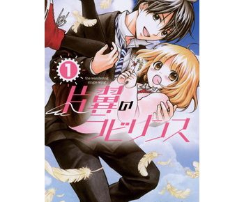 片翼のラビリンスのネタバレと感想 あらすじや無料試し読み